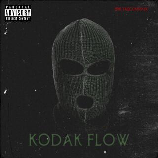 Kodak Flow