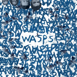 WASPS