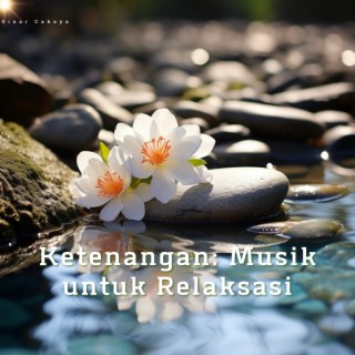 Ketenangan: Musik untuk Relaksasi