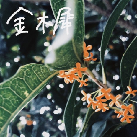 Osmanthus | Boomplay Music