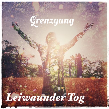 Leiwaunder Tog | Boomplay Music