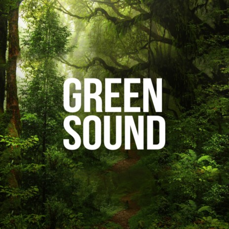 Sleep Sounds (Original Mix) ft. Nature Sounds | Boomplay Music