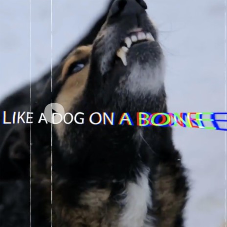 Like a Dog on a Bone (The Trial of Artur Pawlowski) (2) | Boomplay Music