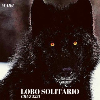 Lobo Solitario