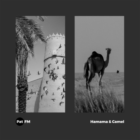 Camel | Boomplay Music