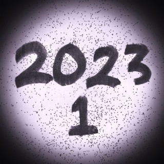 20231