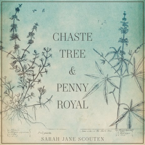 Chaste Tree and Pennyroyal | Boomplay Music