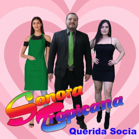 Querida Socia | Boomplay Music