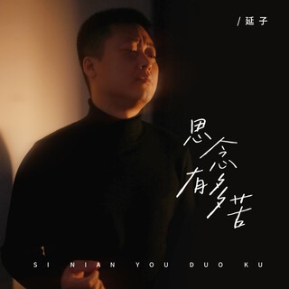 思念有多苦 lyrics | Boomplay Music