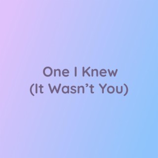 One I Knew (It Wasn't You)