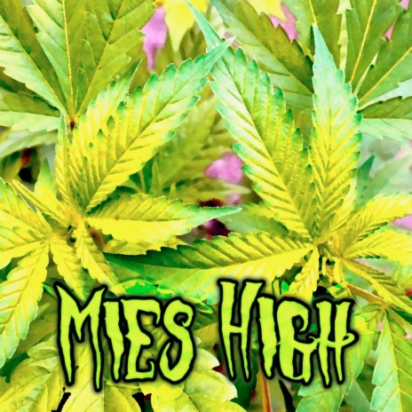 Mies high | Boomplay Music