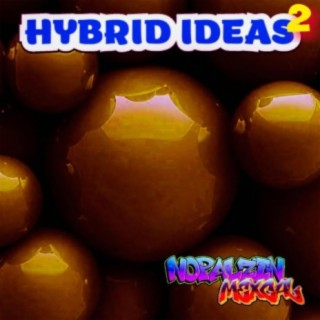 Hybrid Ideas 2