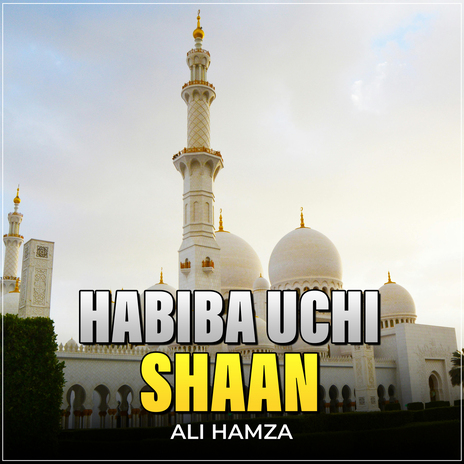 Habiba Uchi Shaan | Boomplay Music