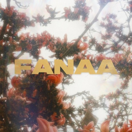 fanaa | Boomplay Music