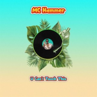 MC Hammer (U Can't Touch This)