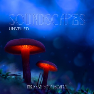 Soundscapes Unveiled: A Sonic Journey Through Ethereal Landscapes of Tranquility and Wonder