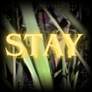 Stay