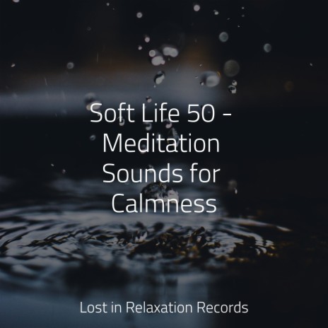 Calm Sensation ft. Música a Relajarse & Mantra para Meditar | Boomplay Music