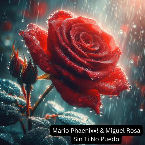 Sin Ti No Puedo ft. Miguel Rosa | Boomplay Music