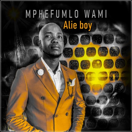 Mphefumlo Wami | Boomplay Music