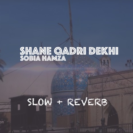 Shane Qadri Dekhi | Boomplay Music