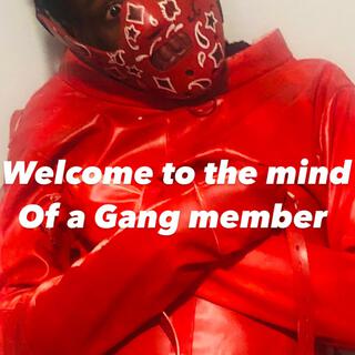 Mind of a gang member