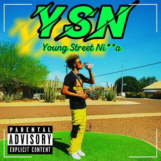 Y.S.N