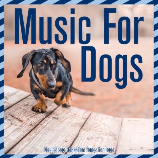 Music For Dogs: Deep Sleep Relaxation Songs for Dogs
