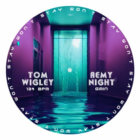 Won't Stay ft. Remy Night | Boomplay Music