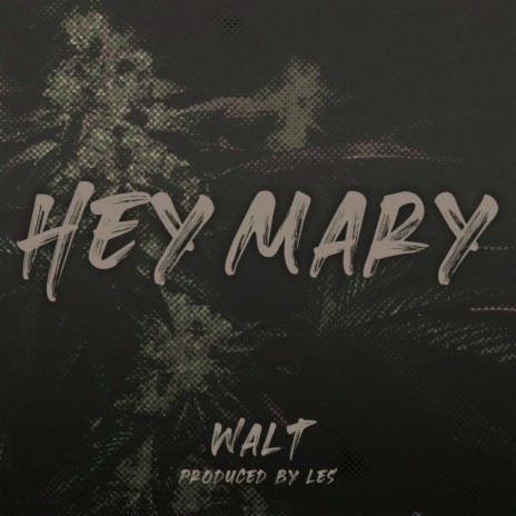 Hey Mary | Boomplay Music