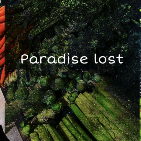 Paradise lost | Boomplay Music