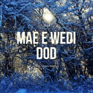 Mae e Wedi Dod