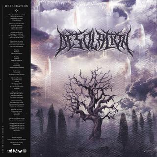 Desecration lyrics | Boomplay Music