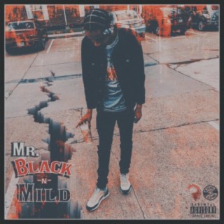 Mr. Back n Mild lyrics | Boomplay Music