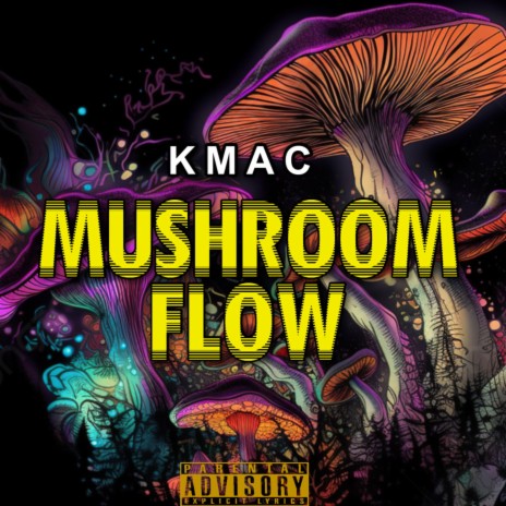 Mushroom Flow | Boomplay Music