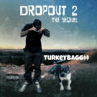 Dropout 2 the sequel