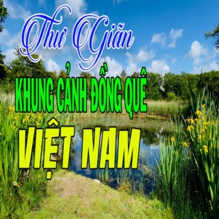 Thư Giãn Với Khung Cảnh Đồng Quê Việt Nam
