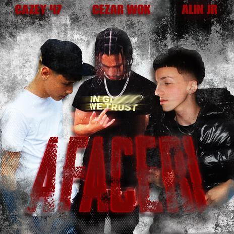 Afaceri ft. Cazey 47 & Alin Jr