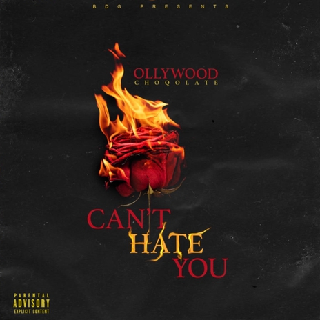 Can't Hate You (Radio Edit) ft. Choqolate | Boomplay Music