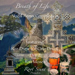 Breath of Life (Vocal Remix Compilation) (Vocal Remix Comp)