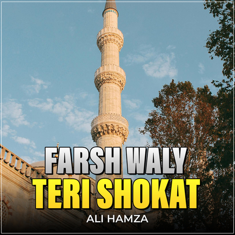 Farsh Waly Teri Shokat | Boomplay Music