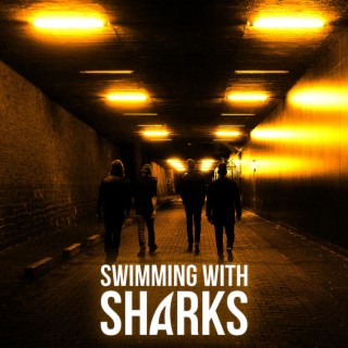 Swimming With Sharks lyrics | Boomplay Music