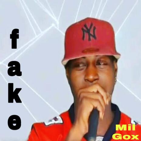 Fake | Boomplay Music