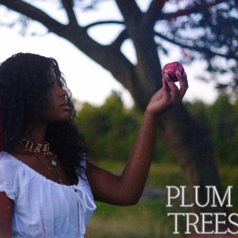 Plum Trees | Boomplay Music