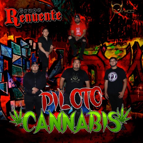 Piloto Cannabis | Boomplay Music