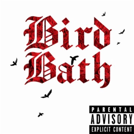 Bird Bath | Boomplay Music