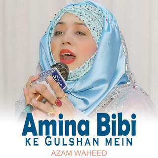 Amina Bibi ke Gulshan mein