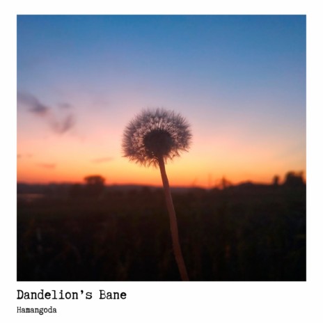 Dandelion's Bane | Boomplay Music