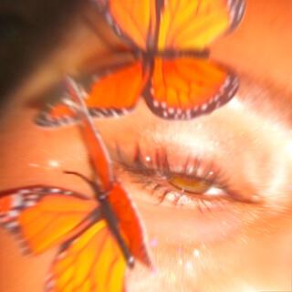 butterfly lyrics | Boomplay Music