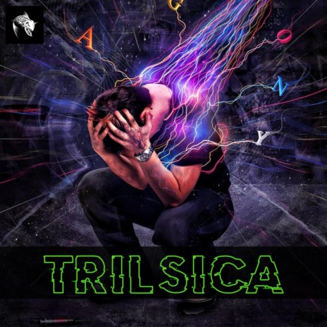 Trilsica | Boomplay Music